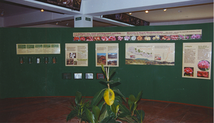 Exhibition Display 2